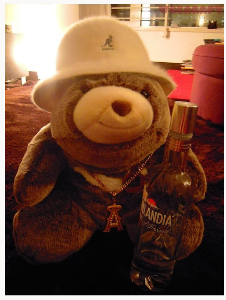A plush teddy bear sits on a dark carpet, wearing a white hat with a logo and a necklace featuring an Eiffel Tower pendant. In front of the bear is a clear glass bottle labeled 'Finlandia Vodka.' The background shows furniture and books, softly lit with warm lighting