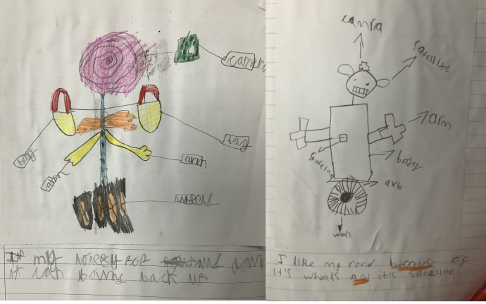 Two children's drawings: one of a labeled flower, the other of a labeled rover, each with a handwritten sentence explaining why they like their creation.